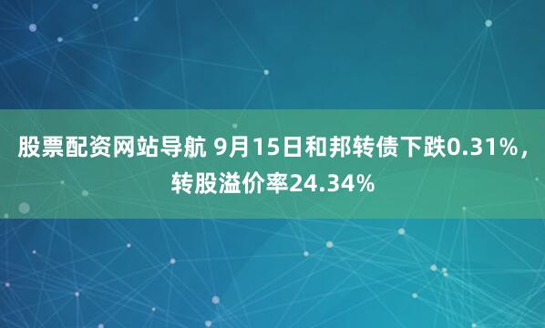 股票配资网站导航 9月15日和邦转债下跌0.31%，转股溢价率24.34%